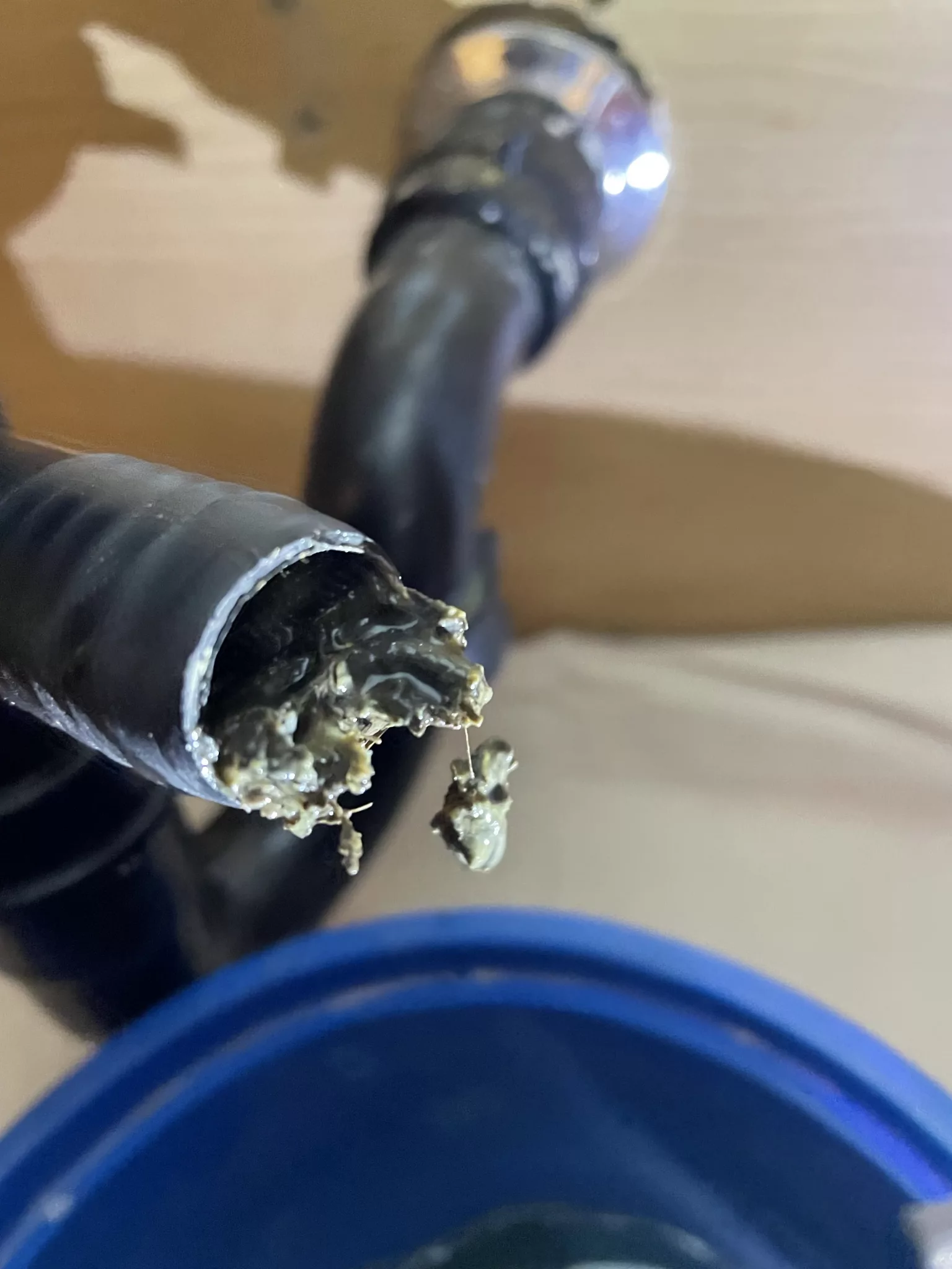 Thomas plumber repairing a drain clog